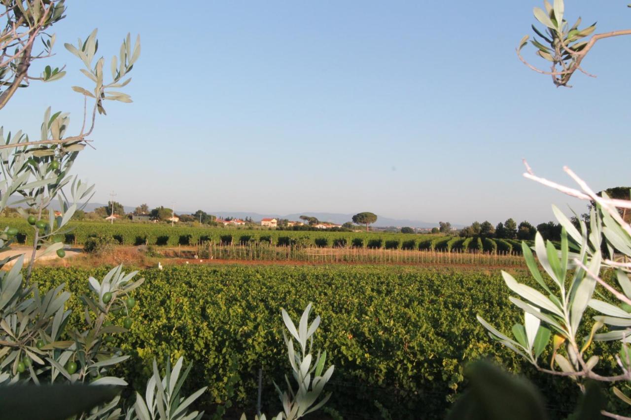 Agrihotel Elisabetta Collemezzano Экстерьер фото